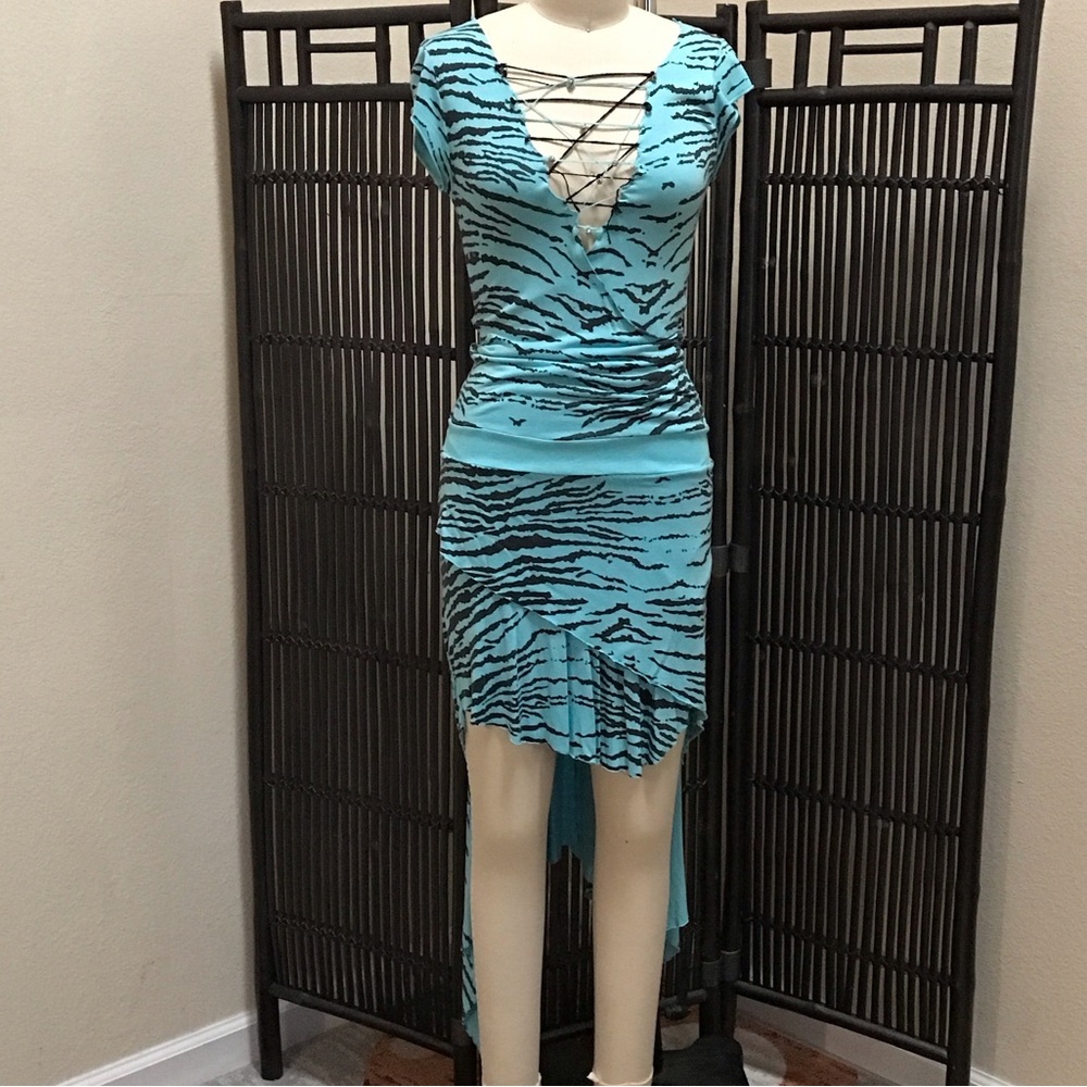 Blue Zebra Print Women Dress